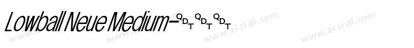 Lowball Neue Medium字体转换
